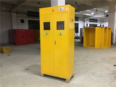 【雙瓶防爆氣瓶柜 鋼制柜儲存 安全防爆防火柜 易燃物氣體儲存安全柜圖片】雙瓶防爆氣瓶柜 鋼制柜儲存 安全防爆防火柜 易燃物氣體儲存安全柜圖片大全 - 優耐特斯工業設備